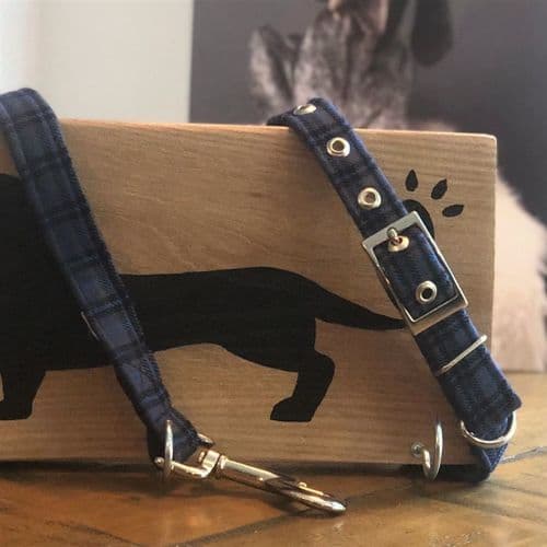 Patterned Buckle Style Dog Collar