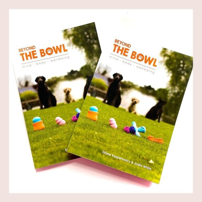 Beyond The Bowl Book