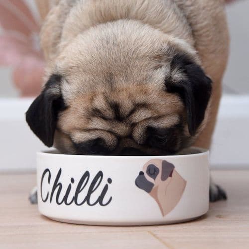 Ceramic Personalised Dog Bowl