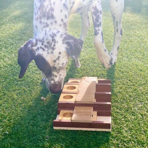 Dog Puzzle Toy - Domino