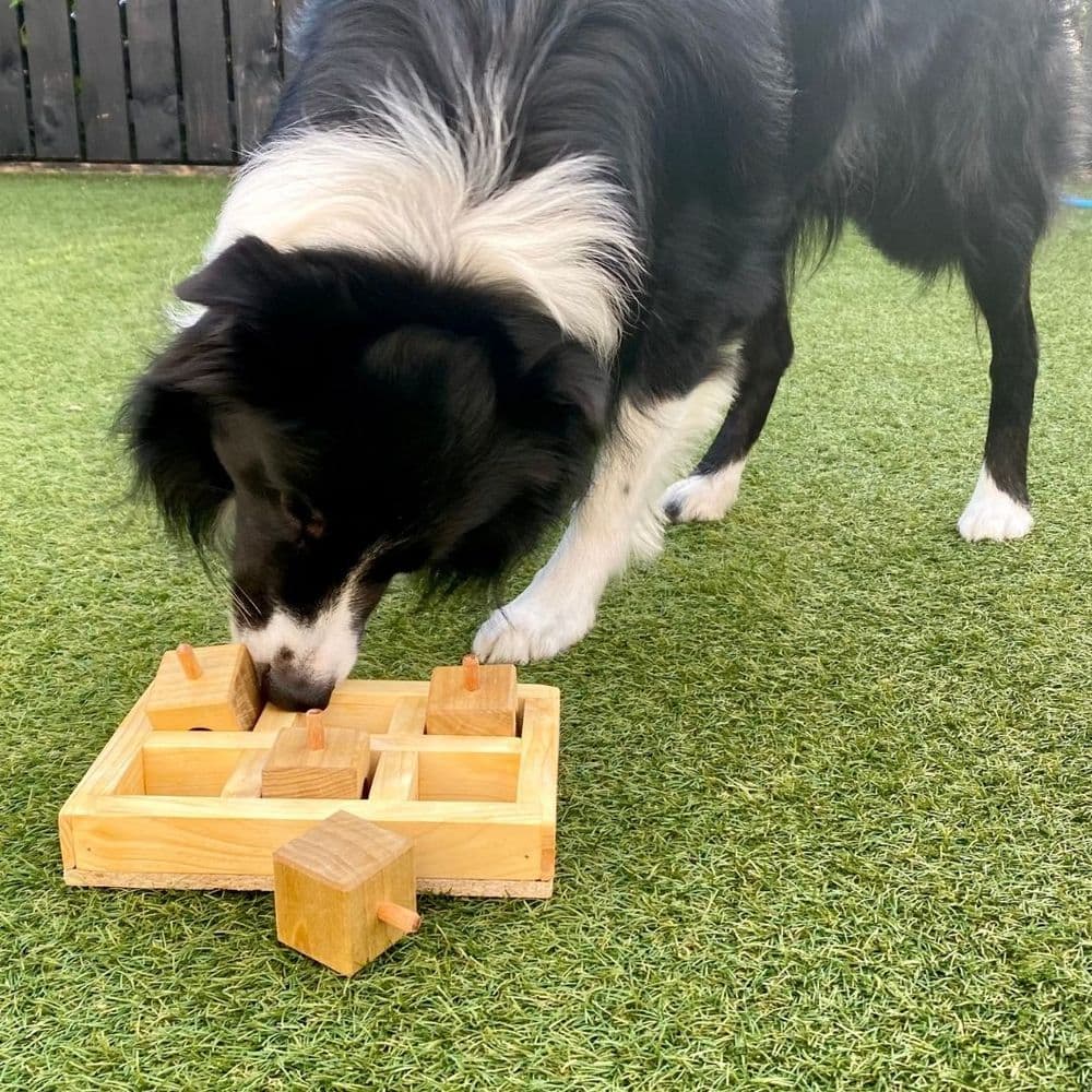 Dog Puzzle Toy - Lift and Peak