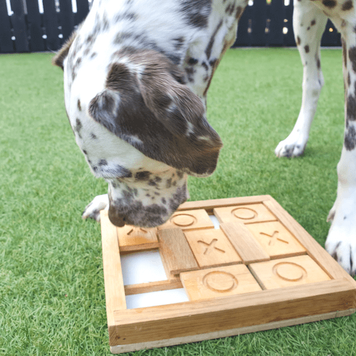 Dog Puzzle Toy - Noughts and Crosses