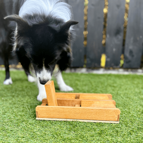 Dog Puzzle Toy - Trapdoor