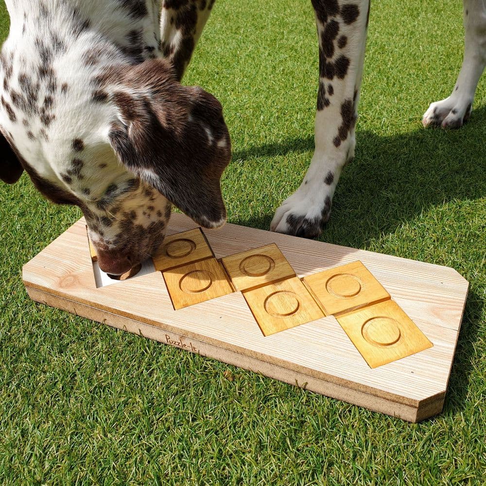 Dog Puzzle Toy - Zigzag