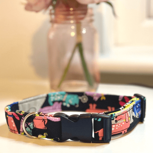 Funky Dog Collar and Lead Set