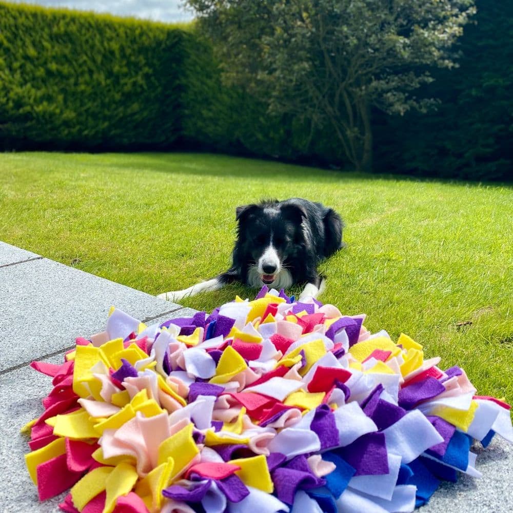 Large Snuffle Mat Dog Enrichment Toy