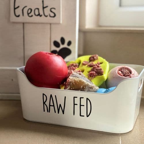 Pet Food Storage Tray