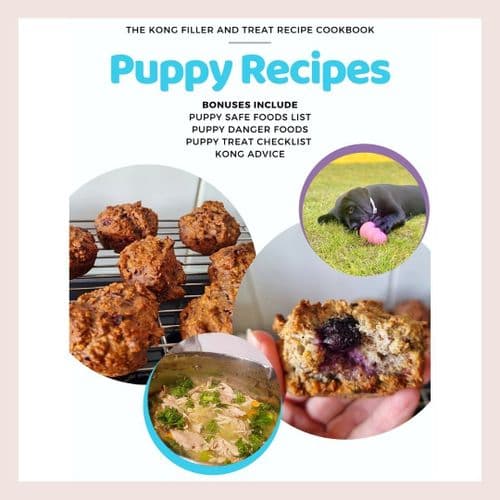 Puppy Recipe & KONG Filler Ideas Ebook