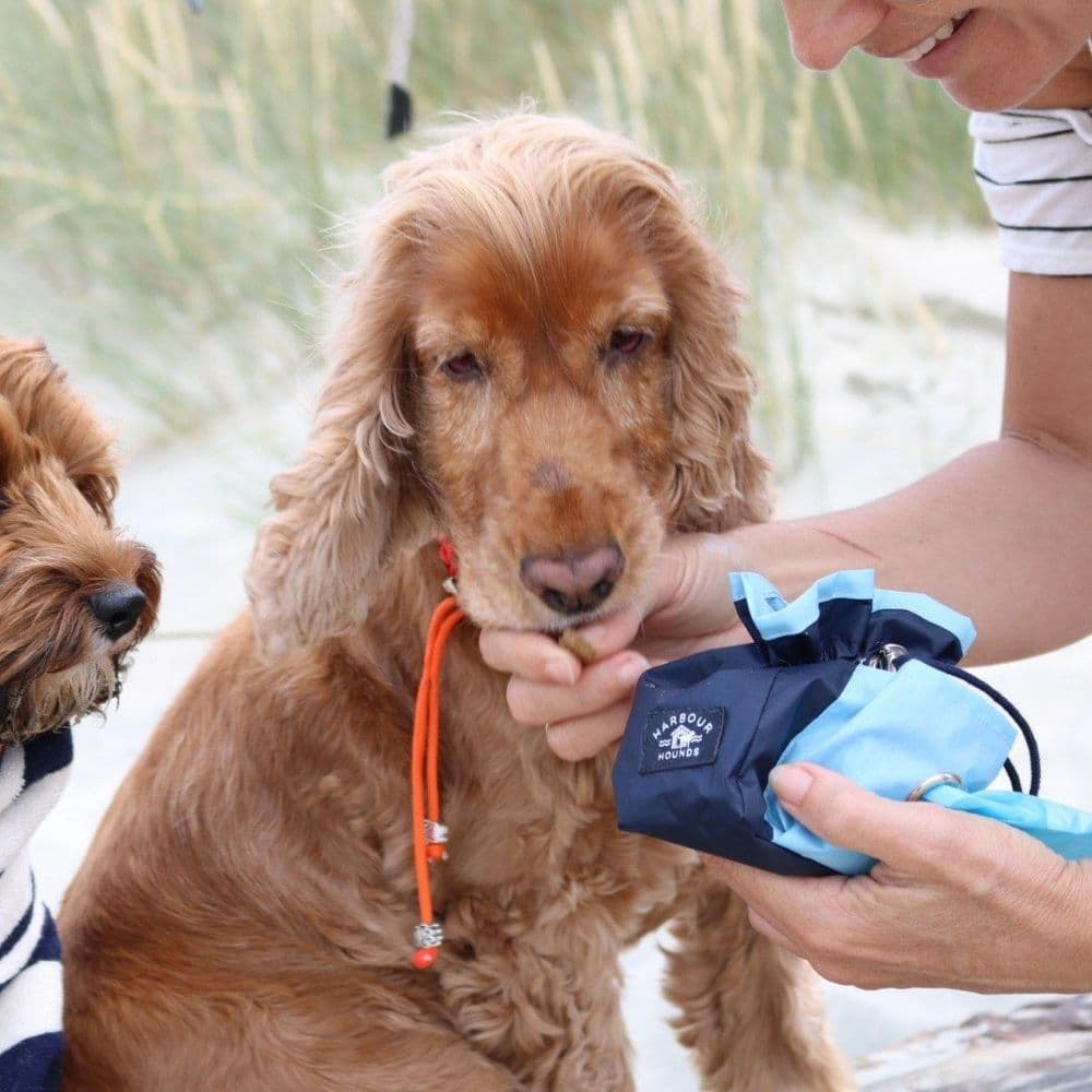 Waterproof Dog Treat Bag