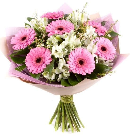 Gerbera bouquet Gerbera bouquet