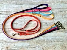 4 x BioThane® Standard Leads + 1 x Double Ended Lead Bundle